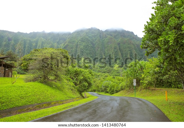 Hoomaluhia Botanical Garden Mountain View Green Royalty Free