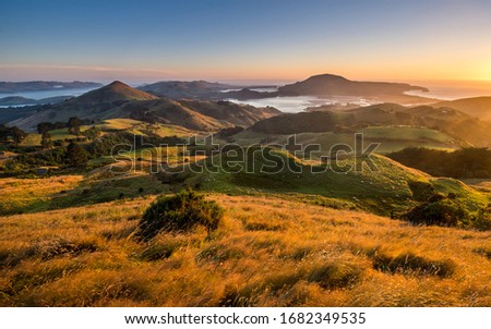 Hoopers Inlet bay and Papanui Inlet Otago Peninsula New Zealand. Beautiful sunrise in Otago district close to Dunedin city. Inlets, sounds, highlands, green hills, meadows, fields, valley with sheep.