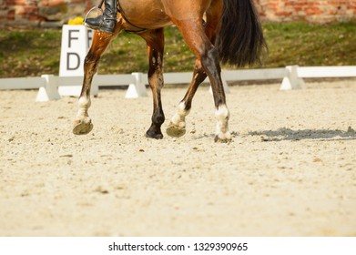 Hooves Horse Riding On Sandy Terrain Stock Photo 1329390965 | Shutterstock