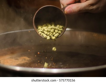 Hop addition into a beer - Shutterstock ID 575770156
