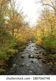 Hop Brook Lake Park In Connecticut October 18 2020 During The Fall Season