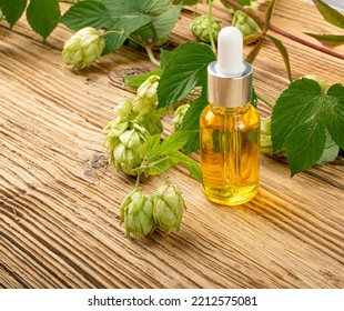 Hop Essential Oil On Wooden Table. Humulus Extraction For Phytotherapy, Hop Infusion, Herb Extract Closeup