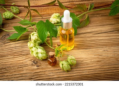 Hop Essential Oil On Wooden Table. Humulus Extraction For Phytotherapy, Hop Infusion, Herb Extract Closeup