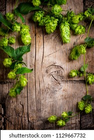 Hop twigs frame over wooden cracked table background. Vintage toned. Beer ingredients. Beautiful fresh-picked whole hops with green leaves border design close-up. Brewing concept, Vertical image