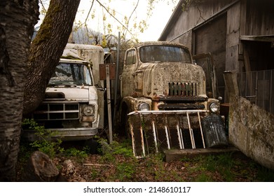 Hope, BC, Canada, April 14 2022: Old rundown trucks parked behind a dirty yard and shed with garage, grungy and filthy, disused and in disrepair, small down industrial, brown grime and moss covered