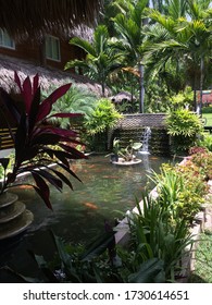 Hope Zoo Botanical Garden With Koi Pond, Jamaica