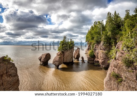 The Hopewell, or Flowerpot Rocks in the Bay of Fundy, New Brunswick, Canada. The area has two tides a day and one of the highest average tides in the world, averaging 16metres. 