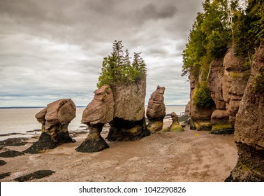 The Hopewell Rocks in the Bay of Fundy in New Brunswick, Canada