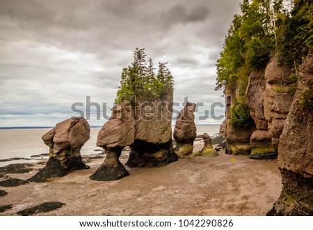 The Hopewell Rocks in the Bay of Fundy in New Brunswick, Canada