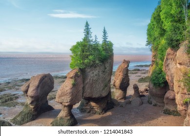 Hopewell Rocks - carved out by tidal erosion - Bay of Fundy, New Brunswick, Canada.