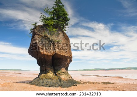 Hopewell Rocks at low tide, Fundy bay (Canada)