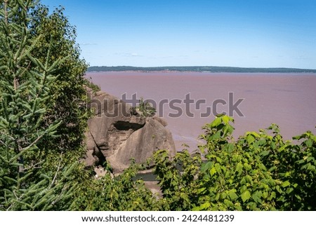 Hopewell's mud flats, coastline of Bay of Fundy. The Daniel’s Flats, northwestern side of Chignecto Bay (“north fork” of the upper Bay of Fundy), New Brunswick, Canada. Low Tide. 