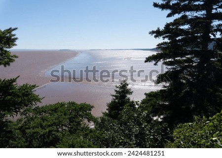 Hopewell's mud flats, coastline of Bay of Fundy. The Daniel’s Flats, northwestern side of Chignecto Bay (“north fork” of the upper Bay of Fundy), New Brunswick, Canada. Low Tide. 