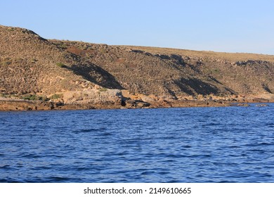 Hopkins Island, Spencer Gulf, South Australia