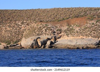 Hopkins Island, Spencer Gulf, South Australia