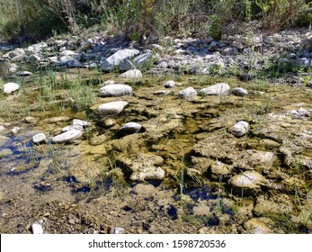 Hopper Canyon Creek With Lots Of Algae & Rocks - Fillmore/Piru, Ventura County, CA