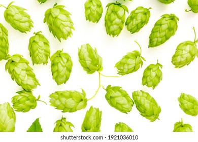 Hops cones, isolated on white. Background pattern.