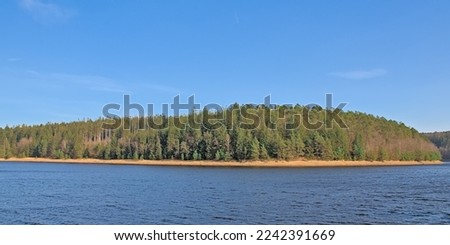 hore of the lake of Eupen with pine forest on a sunny winter day