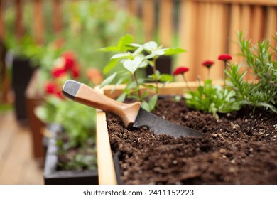 A hori-hori gardening tool can be used to help weeding, cutting roots, transplanting, removing plants, sod cutting, and splitting perennials. It's extremely handy and multipurpose. - Powered by Shutterstock