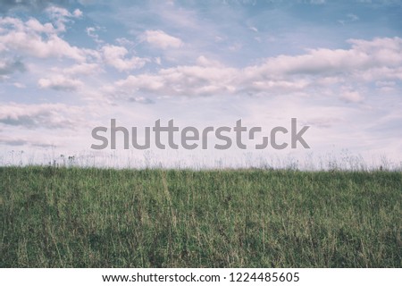 Horizon - grass on the meadow and sky with cloud. Minimalist landscape. Film simulation. Retro filters: color shift, desaturation, muted contrast, vignetting