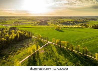 Horizon view of meadows and country road