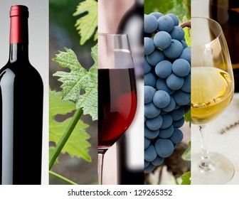 Horizontal arrangement of images depicting the wine industry