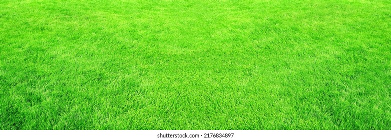 Horizontal banner with green grass on lawn. Stadium grass. Trimmed lawn grass - Shutterstock ID 2176834897