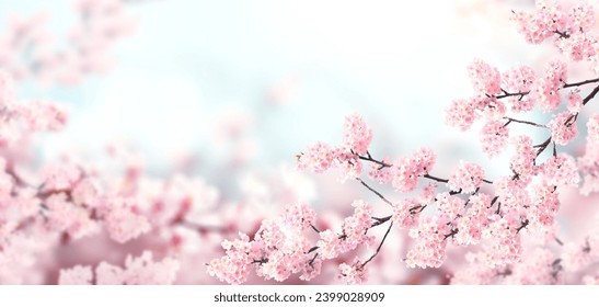 Horizontal banner with sakura flowers of pink color on sunny backdrop. Beautiful nature spring background with a branch of blooming sakura. Sakura blossoming season in Japan - Powered by Shutterstock