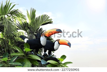Horizontal banner with two beautiful colorful toucan birds (Ramphastidae) on a branch in a rainforest. Couple of toucan bird and leaves of tropical plants on sunny sky background. Copy space for text