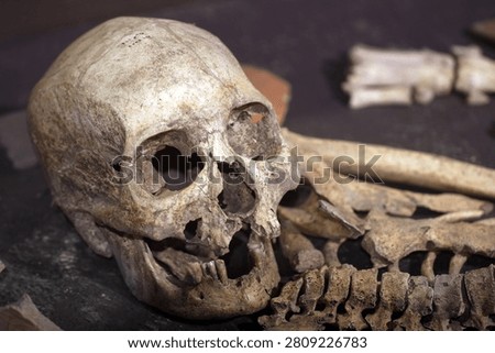 Horizontal close up of an ancient human skull and skeleton bones in an archaeological site.