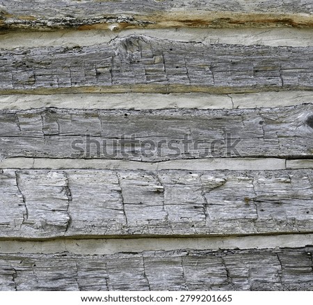 A horizontal close up of log cabin logs with natural wood patina, cracks, chips, cut marks, knots, knot holes, and small insect holes. The gaps between the logs are filled with porous uneven cracked chinking.