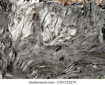 A horizontal close-up shot capturing the complex and twisted texture of weathered, old wood from a log or tree stump. The sinuous grains, deep cracks, and wavy patterns in gray, black, and off-white tones create an abstract and organic composition shaped by the passage of time.