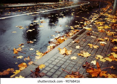 Horizontal color image of a wet road covered with brown and yellow leaves on an autumn rainy day.