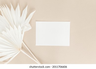 Horizontal Empty 5x7 Card Invitation Mockup, Dried White Palm Leaf On A Beige Nude Background, Minimal Boho Background Image