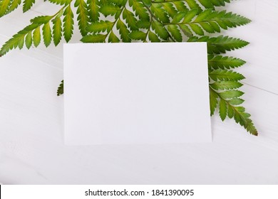 Horizontal Empty Card Mockup Template With Green Fern Plants, Design Element For Wedding Rsvp, Thank You Card, Greeting Or Invitation Card. Stationery Mockup