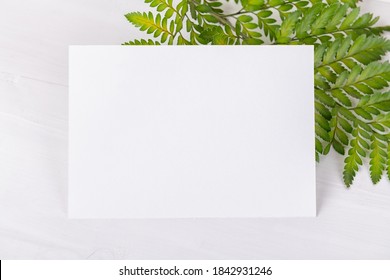 Horizontal Empty Card Mockup Template With Green Fern Plants, Design Element For Wedding Rsvp, Thank You Card, Greeting Or Invitation Card. Stationery Mockup