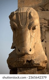 A horizontal frame of a stone statue of a cow's head, the result of Achaemenid stone carving. Takht Jamshid, Shiraz, Iran