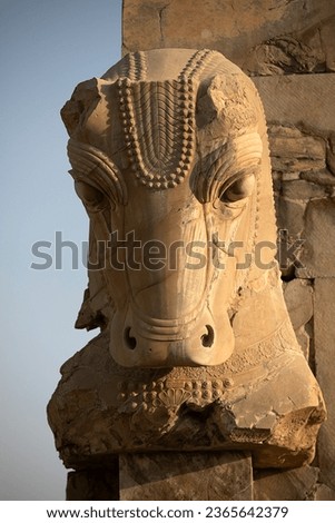 A horizontal frame of a stone statue of a cow's head, the result of Achaemenid stone carving. Takht Jamshid, Shiraz, Iran