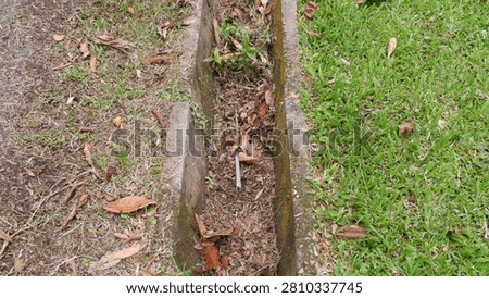 a horizontal high-angle shot capturing an outdoor concrete drainage ditch completely clogged with accumulation of dry brown leaves and wild weeds, flanked by green grass.