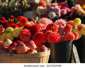 Horizontal Image Of An Apple Bushel And Buckets Of Colorful Zinnia On Display At A Farmers Market In Holland Michigan