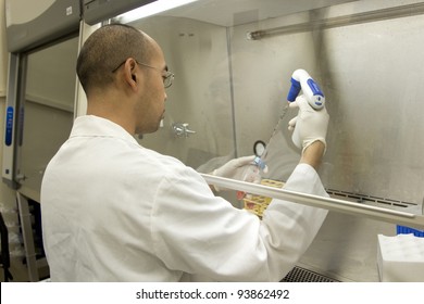 Horizontal image of an Asian-American scientist using a pipette in a biosafety cabinet.