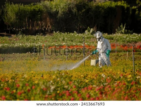 Horizontal image of a  field worker dressed in a hazardous materials suit  spraying white pesticide 