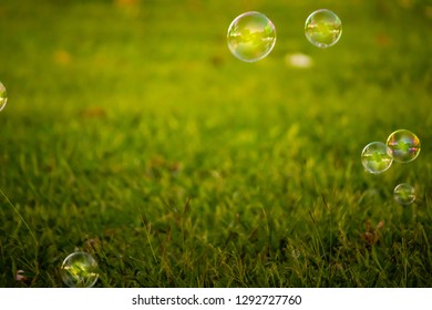 Horizontal Image of Green Grass with Random Bubbles Blown About
