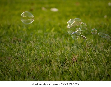 Horizontal Image of Green Grass with Random Bubbles Blown About