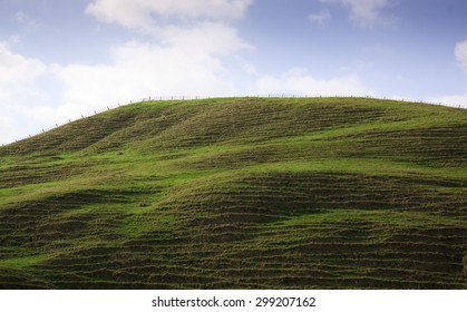 horizontal landscape format rolling green coastal pastoral farming hills rutted with stock trails, Gisborne, East Coast, North Island, New Zealand  - Powered by Shutterstock