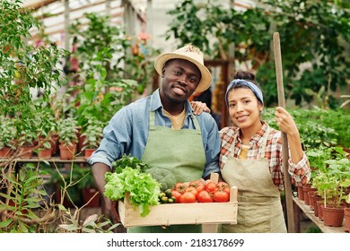 Horizontal medium portrait of modern ethnically diverse couple owning farm standing in greenhouse smiling at camera - Powered by Shutterstock