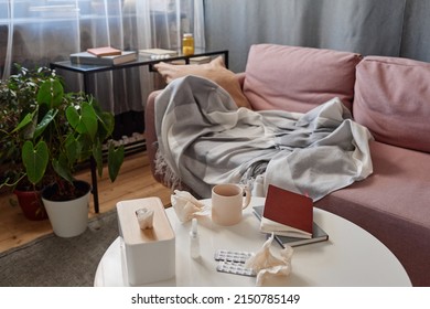 Horizontal No People Shot Of Cozy Loft Living Room Interior In Modern Apartment Belonging To Person Having Influenza At Moment