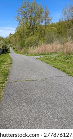 Horizontal perspective of paved walking path through green park