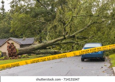 Horizontal photo of fallen tree in a street with caution tape up after Tropical Storm Irma (logos edited out)