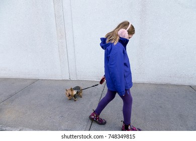 Horizontal Photo Of Little Girl In Fall Jacket And Ear Muffs Walking Away While Pulling Tiny Yorkshire Terrier Dog With Leash